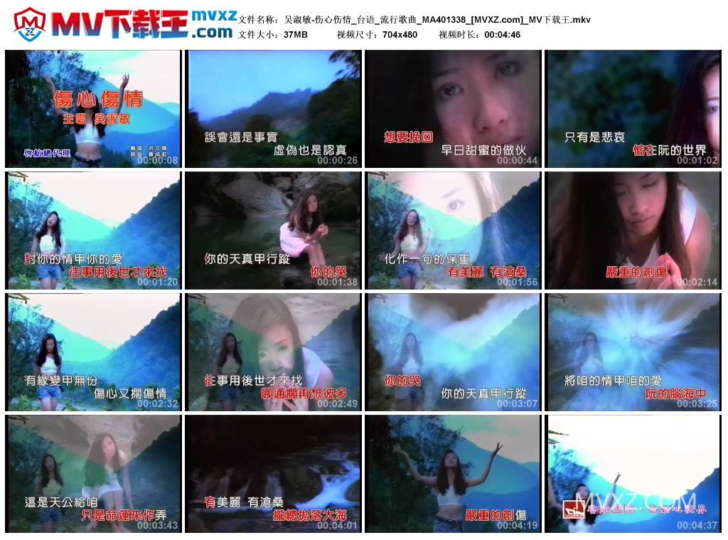 吴淑敏-伤心伤情_台语_流行歌曲_MA401338